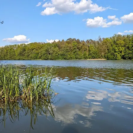 Dom Na Skarpie Z Widokiem Na Jezioro, Z Kominkiem I Garazem Stary Dzierzgon