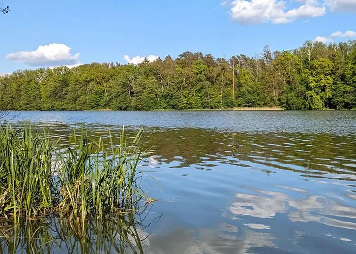 Dom Na Skarpie Z Widokiem Na Jezioro, Z Kominkiem I Garazem Stary Dzierzgon